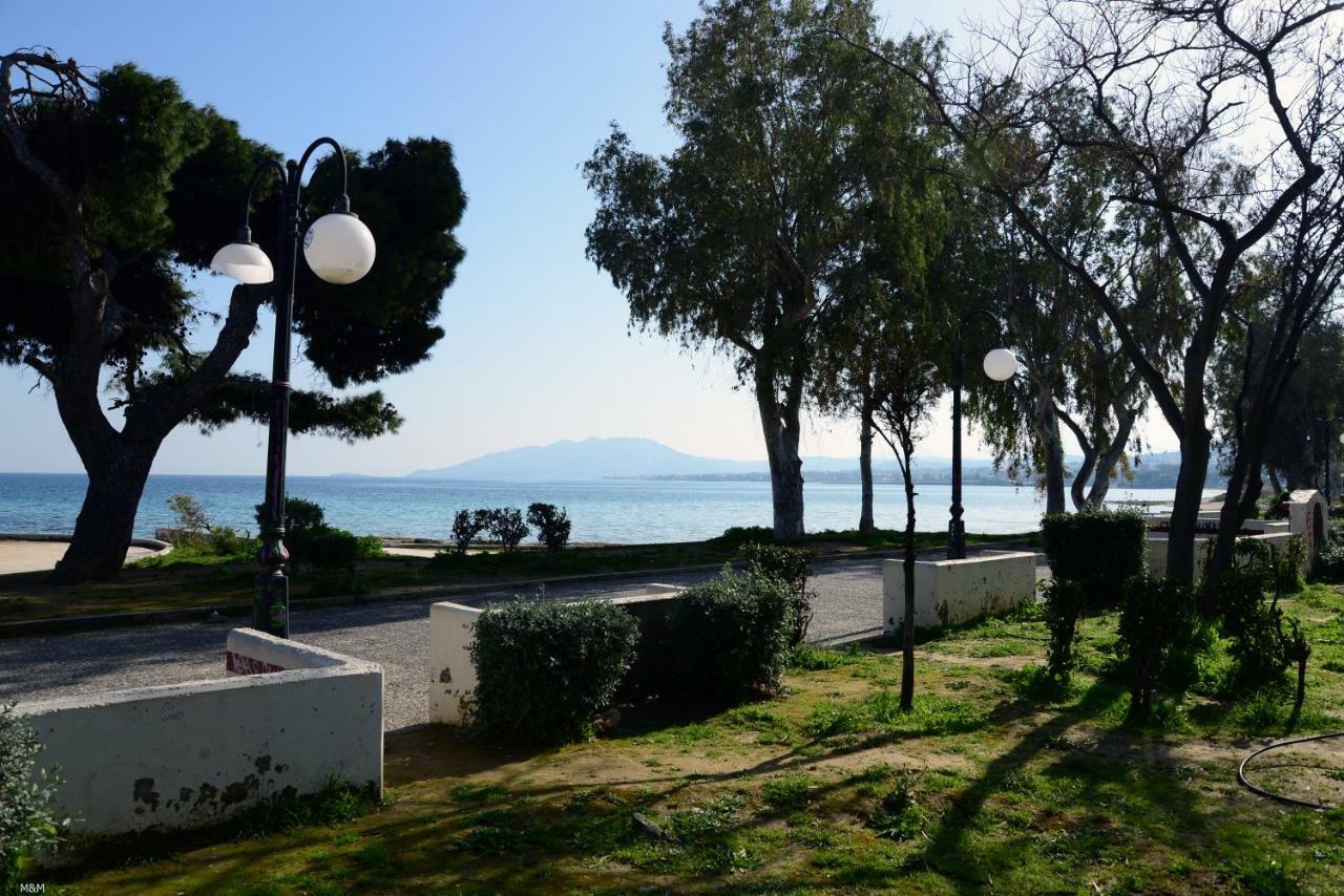 Marina Apartment アルテミダ エクステリア 写真